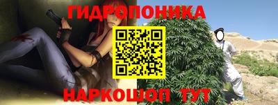 тгк Можга