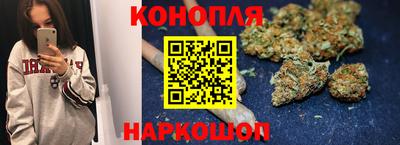 тгк Можга