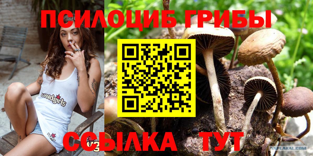 Учалы  Псилоцибиновые грибы MAGIC MUSHROOMS  Галлюциногенные грибы ЛСД  Вход с VPN 